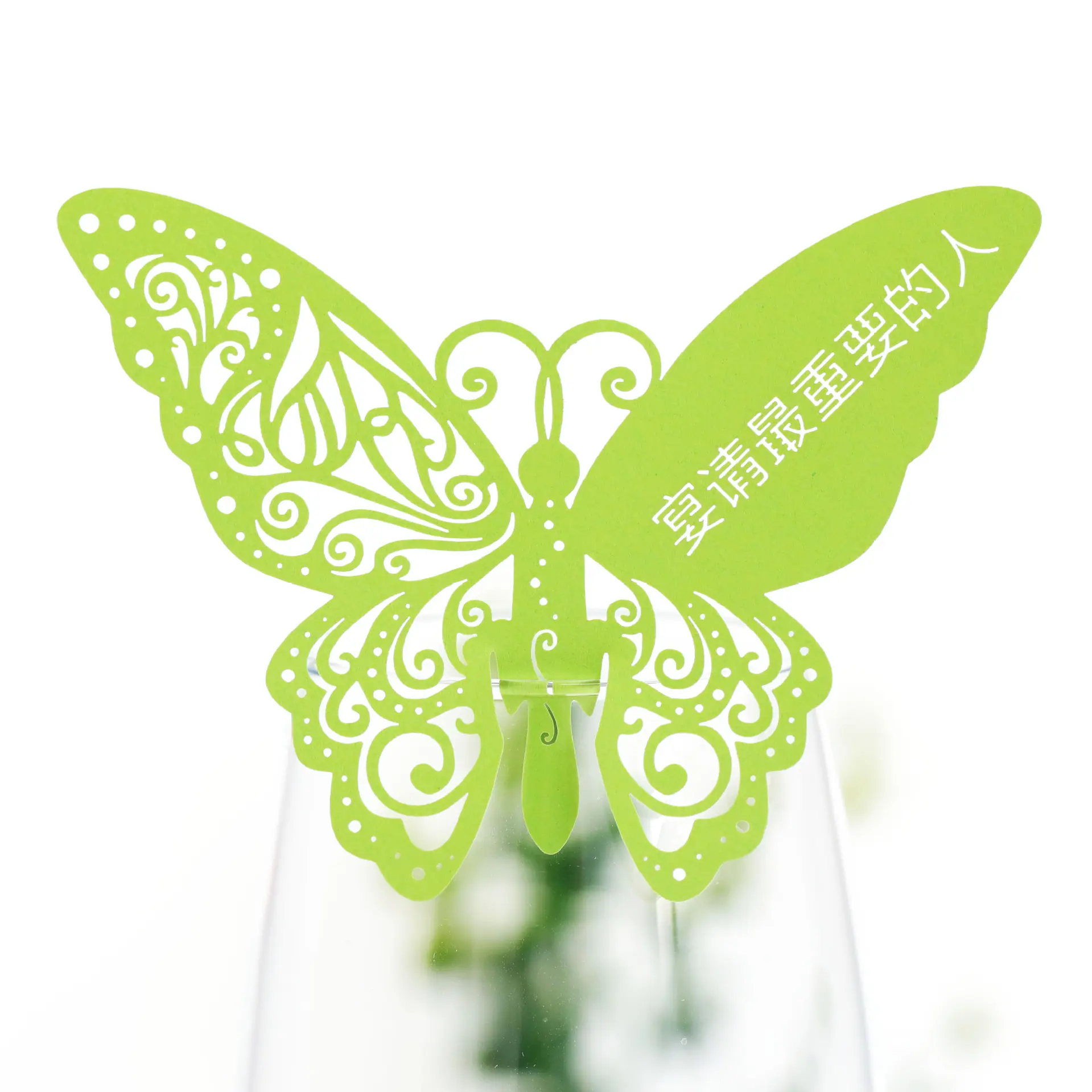 9R3A2913 鲜绿