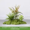 [Cena de Empilhamento Estilo Três Caracteres] Paisagem de Flores e Grama, Plantas Verdes, Plantas Artificiais, Musgo Decorativo, Móveis de Interior de Luxo Acessível