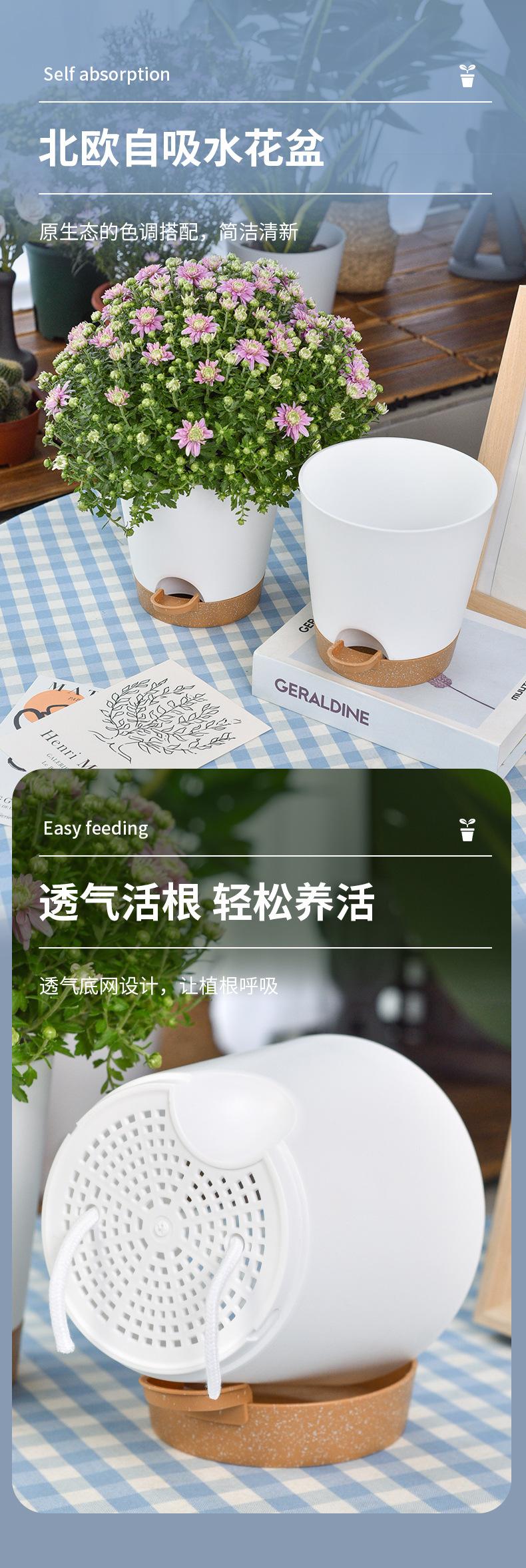 花盆_01.jpg