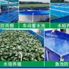 Lona Engrosada para Tanque de Agua de Piscina Estanque de Peces Embalse Lona para Piscicultura Tela Impermeable Lona para Granjas Industrializadas del Hogar