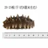 Dalian Congelado Listo Para Comer Pepino de Mar Fuente Fabricante Mayorista Fresco Pepino de Mar Fabricante Suministro Directo Envío Directo de Una Pieza Tónico