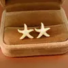 Aretes de Plata con Baño de Oro Real y Clavos de Estrella de Zirconia, Accesorios Festivos, Aretes Versátiles de Moda, Aretes de Lujo Ligero de Alta Gama
