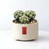 Conjunto fofo de plantas de interior para mesa para jardim de infância, fácil de cultivar e cuidar, pequenas plantas em vasos