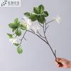 Flor Artificial Ramificada Corta Pasagna Película Hidratante para Manos Decoración Nórdica para el Hogar Decoración de Boda Flor Falsa Pasagna