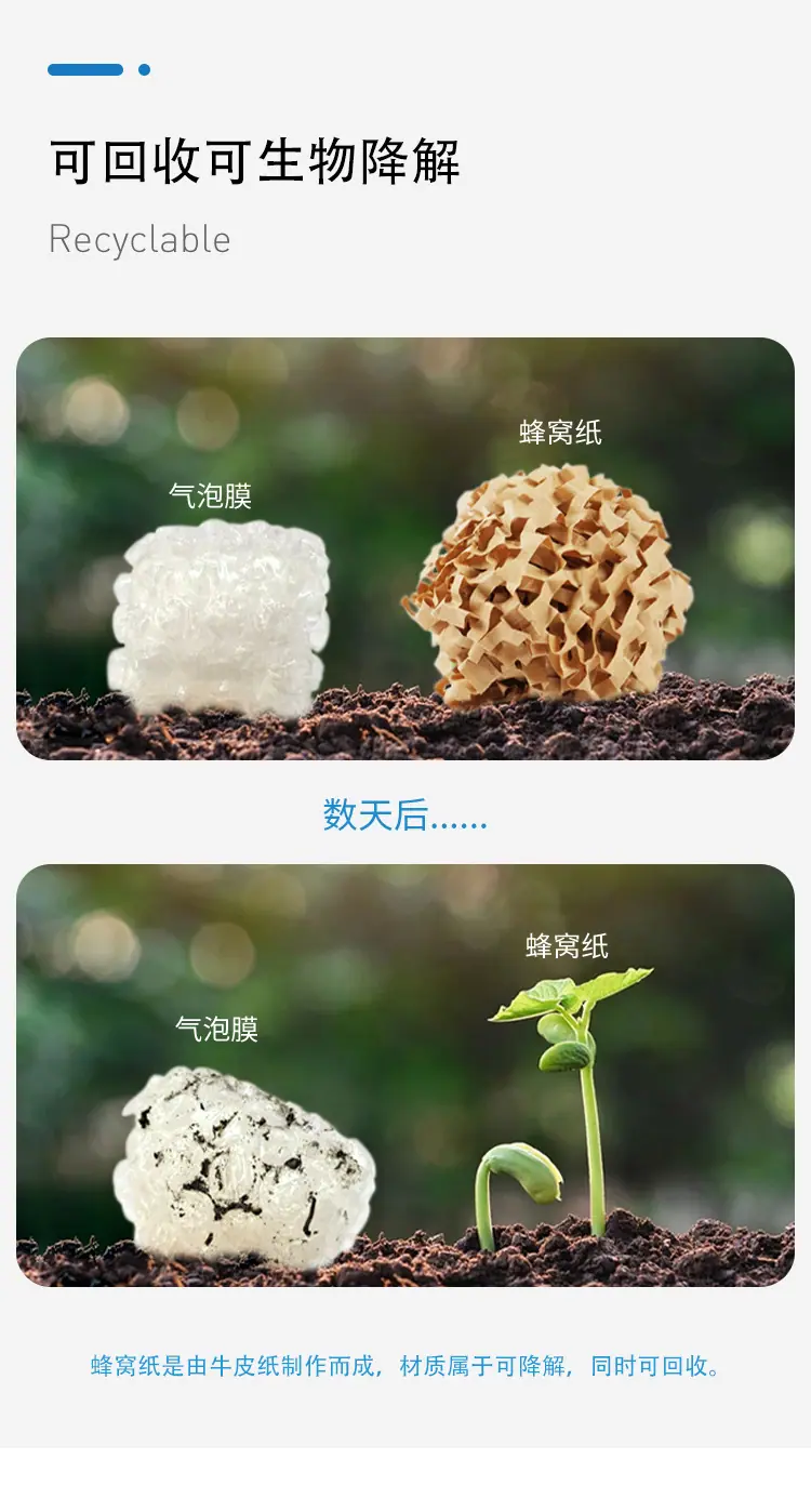 蜂窝纸1_02