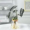 Planta Hidropônica Monstera Ave do Paraíso Planta de Vaso para Interior de Mesa Fácil de Manter para Pessoas Preguiçosas para Purificar o Ar Planta Verde de Escritório