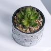 Precio de fábrica se puede personalizar logo maceta maceta planta carnosa gres simple creativo jardinería del hogar escritorio bonsái