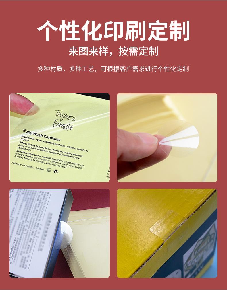 透明龙_08.jpg