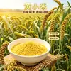 Mijo amarillo, cosecha nueva, mijo glutinoso de producción agrícola para gachas, mijo oleaginoso, granos enteros, mijo amarillo pequeño para cocinar gachas, mijo al por mayor