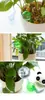 Tamaño M Bola Rayada Bulbos de Riego Automático para Plantas Bolas de Autorriego Dispositivo de Agua Sistema de Riego por Goteo para Plantas de Flores de Jardín