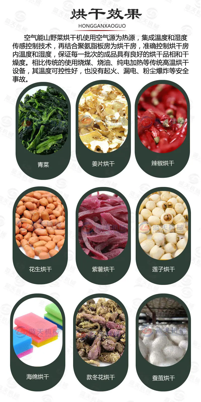 未标题-5.jpg
