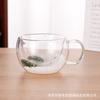 Taza Creativa Transfronteriza de Vidrio de Borosilicato Alto con Flores Secas Nueva Simple Aislada de Doble Capa para el Hogar Taza de Alto Valor Venta al por Mayor