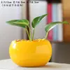 Cuenco Maceta de loto Maceta de cerámica Maceta suculenta Maceta de gran diámetro sin orificio Maceta hidropónica para plantas verdes Maceta especial Maceta doméstica Jarrón grande