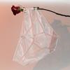 Ropa Interior Sexy de Encaje con Cortes para Mujer 2026 Nuevo de Cintura Baja de Malla Transparente Pura Lujuria Bragas Mariposa para Mujer