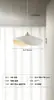Lámpara Colgante Minimalista Nórdico Japonés para Restaurante Estilo Crema Simple Moderno Diseñador Wabi-Sabi Casa de Huéspedes Lámpara Creativa de Resina