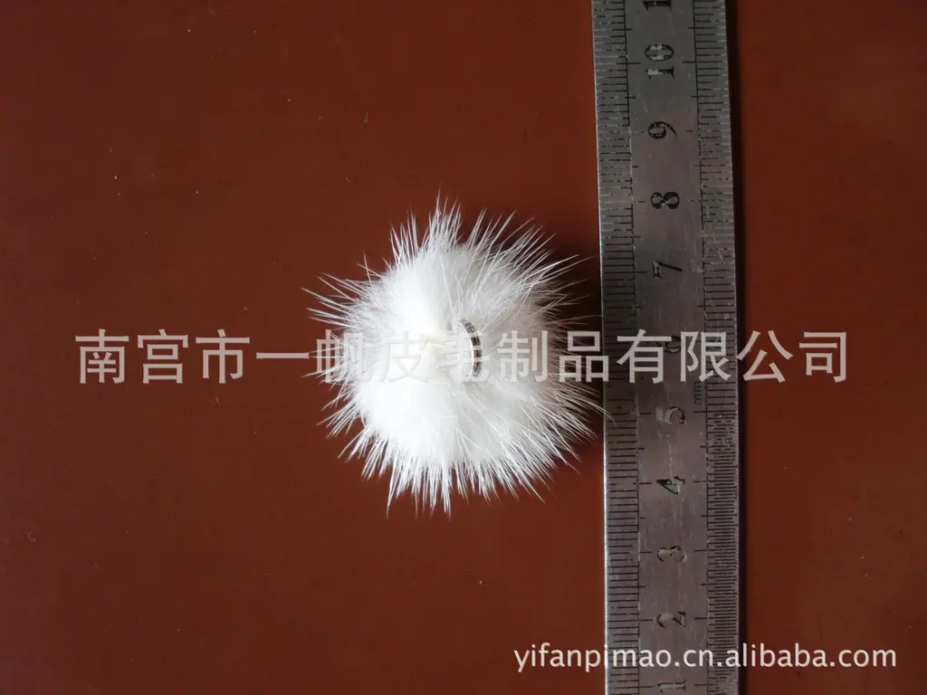 CIMG0894