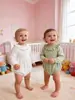 Body para Bebê Menina 100% Algodão Tricot Respirável Verão Estilo Fino Macacão de Bebê Estilo Coreano Body de Bebê Manga Longa