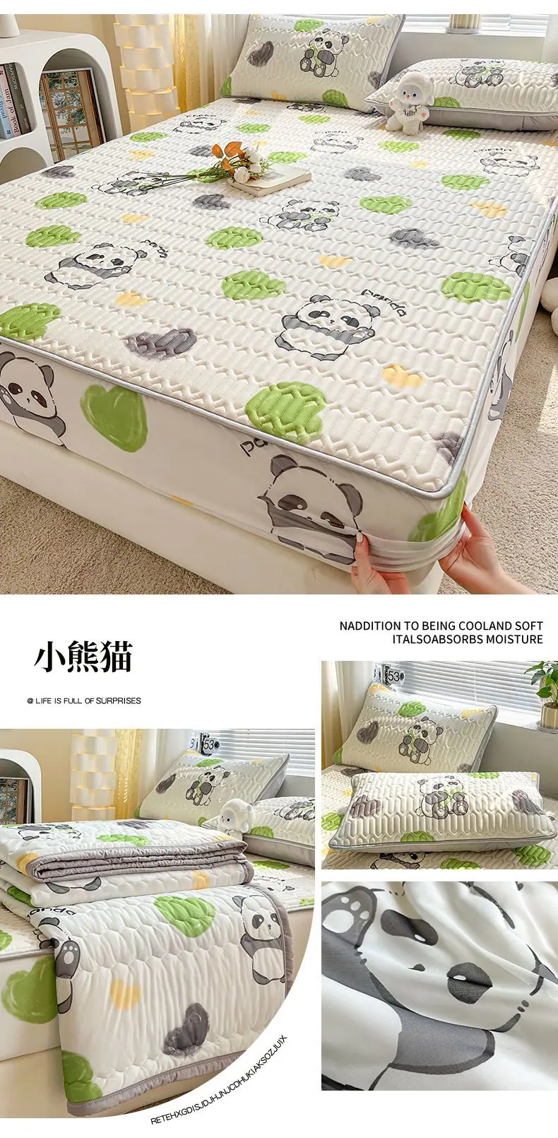 小熊猫.jpg