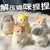 Juguete Lindo de Gatito para Aliviar el Estrés para Niñas, Gato Gordo Juguete Animal Biomimético para Aliviar el Estrés Regalo