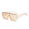 Lentes de Sol Cuadrados de Moda Gafas de Sol de Moda para Mujer Viaje en Coche Protección UV Gafas de Sol M5489