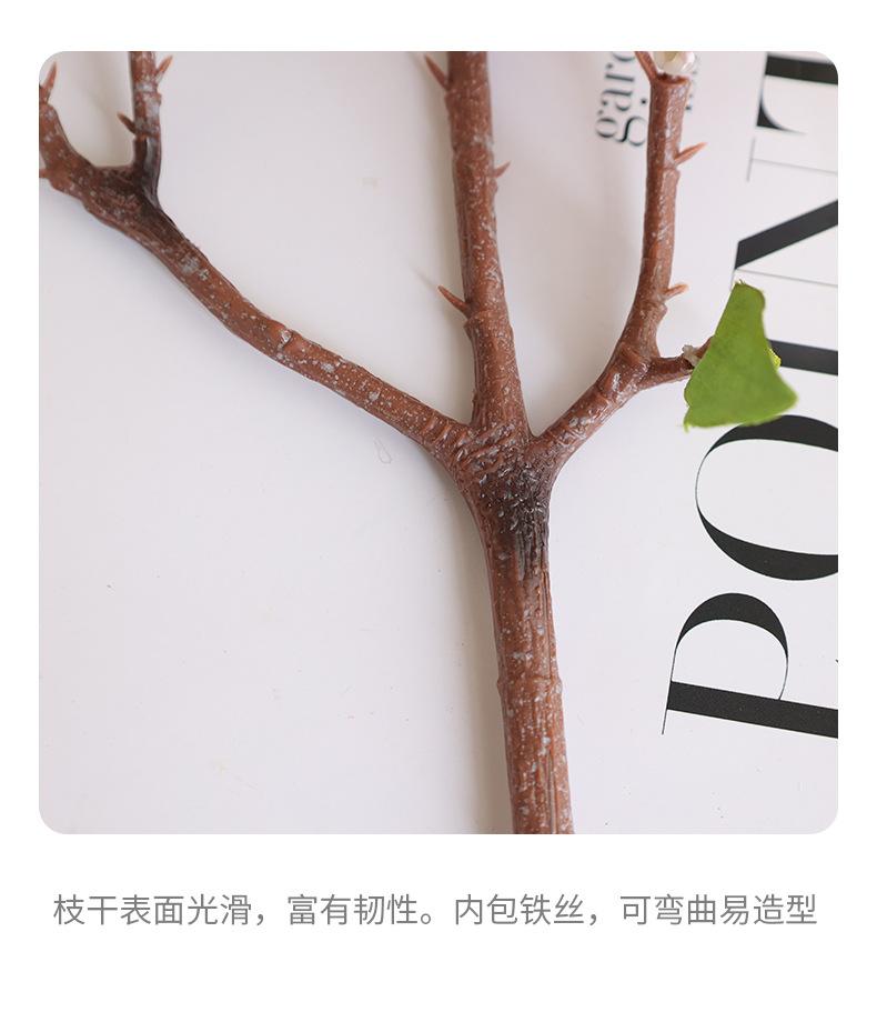 唯爱小玉兰_15.jpg