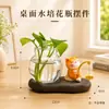 Novo ornamento de pesca de gato para decoração de mesa de escritório, garrafa de vidro hidropônico, presente criativo, pequeno ornamento de mesa
