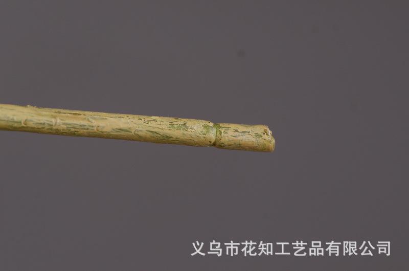 3-11粉色安迪小白果.jpg