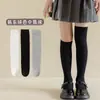 Meias de Comprimento Médio para Crianças, Meias Versáteis Estilo Coreano para Meninas Estudantes, Meias Longas Lisas para Meninas Mais Velhas