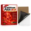 Parche Transfronterizo de Chile Extracto de Planta Herbal Parche Calmante Cuello Hombro Cintura Rodilla Ungüento Parche de Ajenjo Amazon Comercio Exterior Personalización