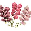 Alta qualidade 8 cabeça flor de cerejeira lábio borboleta orquídea sentir Phalaenopsis mesa nórdica decoração foto adereços design floral