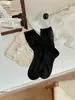 Calcetines de Encaje para Mujer, Primavera y Verano, Calcetines Finos de Seda hasta la Pantorrilla, Color Sólido, Malla Transpirable, Borde Fruncido, Estilo Chica Hermosa, Calcetines Sueltos