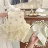 Vestido de Princesa Estilo Chanel para Niña Pequeña para Invierno, Vestido de Cumpleaños de un Año, Vestido para Bebé con Forro Polar Añadido