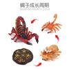 Simulación sólida Araña Naruto ciempiés modelo de insecto juguete para niños mariposa abeja animal decoración bandeja de arena