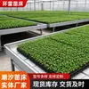 Panel de ABS Invernadero Cultivo de Verduras Cultivo sin Suelo Cama de Plántulas Plantas Flores en Maceta Suculentas Hidroponia Cama de Plántulas de Marea