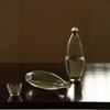 Botella de burbujas frías de vidrio de borosilicato alto, tetera para té verde, botella de vino sellada, contenedor hidropónico multifuncional para el hogar, jarrón para insertar flores