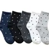 Meias femininas de outono e inverno até a panturrilha, meias ins da moda, meias esportivas longas absorventes de suor com bolinhas