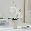 Tacto Pequeño de Cinco Flores de Dos Púas Phalaenopsis en Maceta Bonsái Artificial Flores Falsas Decoración del Hogar Fotografía Flores Artificiales Flores de Boda