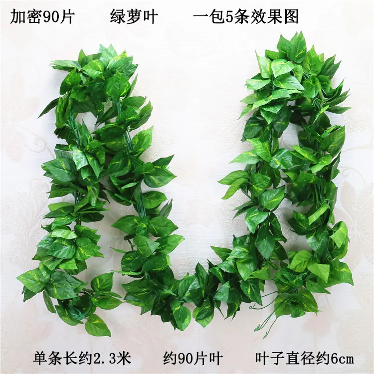 加密90片 绿萝叶一包5条    宋体.jpg