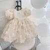 Vestido infantil, vestido de princesa, novo vestido temático de rosas para aniversário de um ano, vestido nicho para apresentação de anfitriã