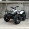 250Ccatv Buggy de Playa Vehículo Todoterreno Off-Road Motocicleta Tracción en las Cuatro Ruedas ATV Buggy de Playa Motocicleta de Cuatro Ruedas