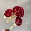 3 flores de peonía salón de bodas camino de entrada ramo de peonías red social disparo fondo suave accesorios