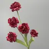 Comercio Exterior Transfronterizo Arreglo de Flores Artificiales de Rosa de 5 Cabezas para Decoración, Flores Falsas para Salón de Bodas, Pared de Fondo de Escena de Boda, Materiales para Arreglos Florales