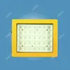 Luminária de LED à Prova de Explosão para Suporte, Personalizável, Luminária de LED Intrinsicamente Segura para Mineração Dgc36/127L(B)