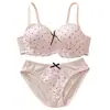 Conjunto de sutiã de renda com laço sem fio, meia-taça doce de bolinhas para busto pequeno, push-up, lindo conjunto de sutiã para as costas