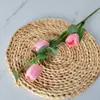 Esquejes de Eucalipto Tulipán Suministro Transfronterizo Arreglo Floral Materiales Florales Accesorios para Fotografía Decoración del Hogar Ins Europa y América