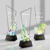Colorido laser Troféu medalha criativa impressão a cores Troféu concurso prêmio troféu lembrança atacado personalização