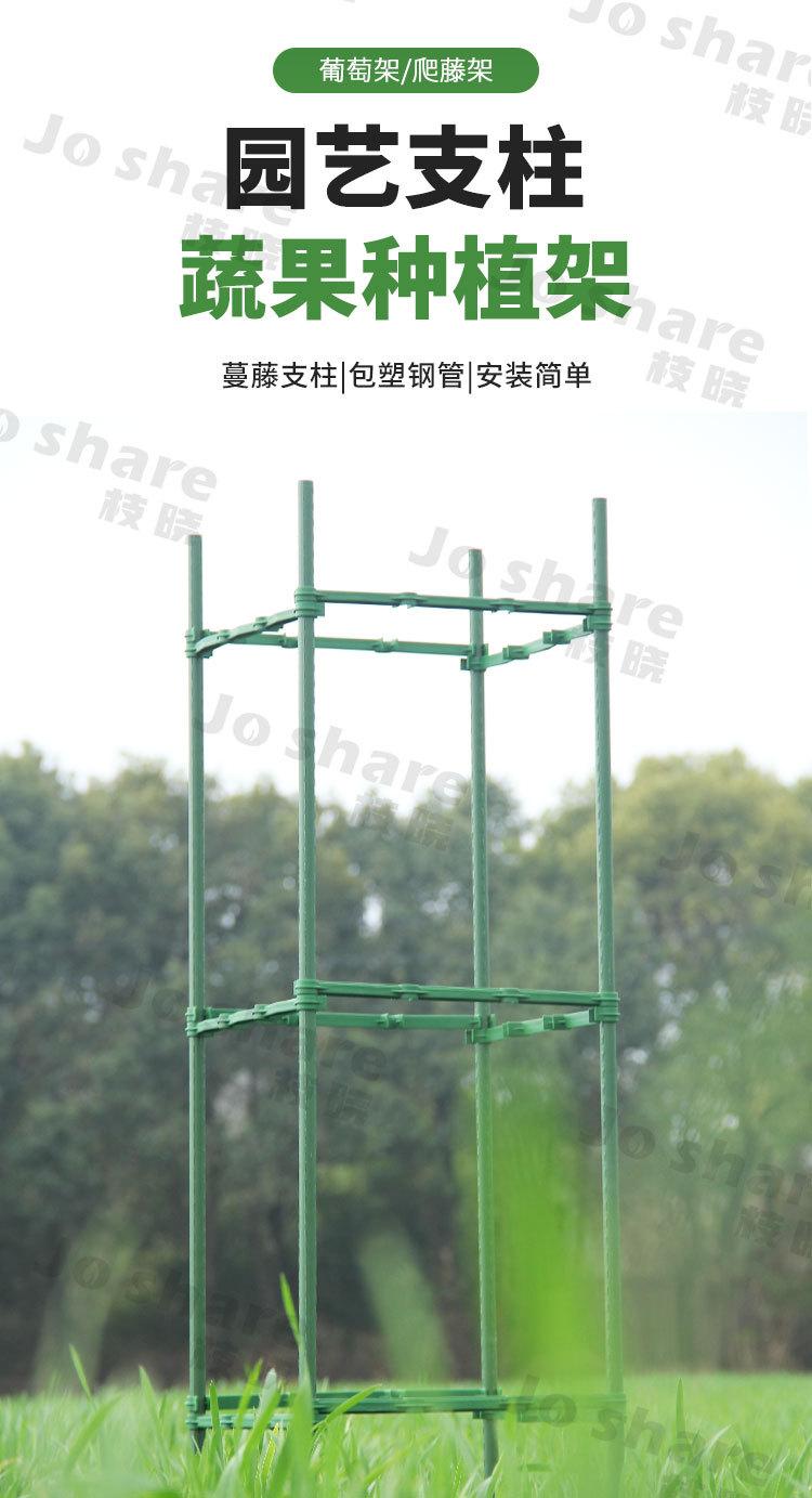 番茄支柱(1688)_01.jpg