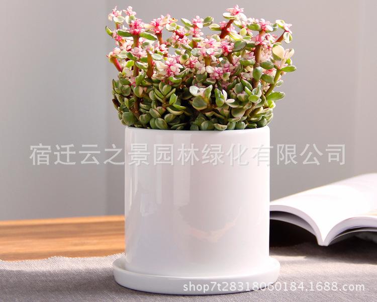 闆呬箰涔嬭垶璇︾粏1