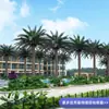 Árboles Artificiales Personalizados, Árboles Tropicales Temáticos para Paisajismo de Jardines Exteriores y Parques Temáticos, Palmeras, Cocoteros Artificiales