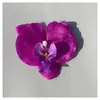 Simulação Película Impressa em 3D Cabeça de Flor Phalaenopsis Amazon PU Impermeável Decoração de Cabeça de Flor Phalaenopsis Phalaenopsis em Estoque
